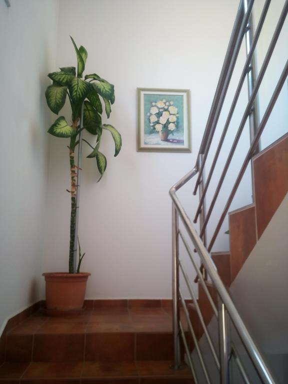 Apartmani Kapitanovic ビオグラード・ナ・モル エクステリア 写真